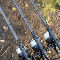 Daiwa Black Widow + Carp Rods